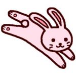 まめちしきぼっと