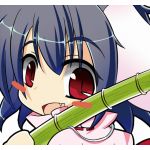 ひだまり