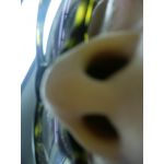 さはら
