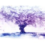 一徹