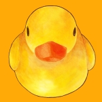 userPhoto