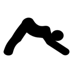 userPhoto