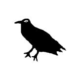 いたこ