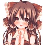 峠の素敵な巫女