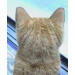 なつみん