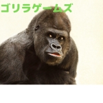 南国ゴリラ