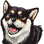 黒柴