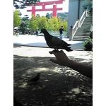 二代目KSK