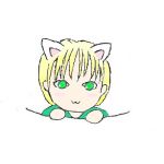 miimo