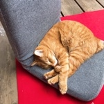 ユーザー画像