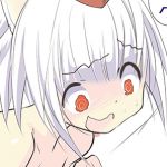 ぷーはち
