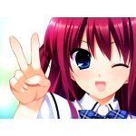 ほぁー。