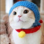 かのん