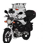 ふみねこ