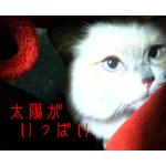 時定