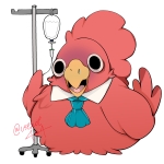 お志津香に！