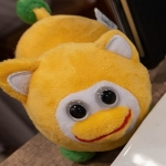 pp