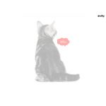ねこる＠nekoru
