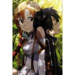個別の11人