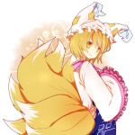 黄金きつね