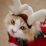 むらさき