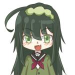 ノラうみさん