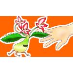 しんすけ