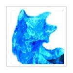 狐狗狸 (こっくりP)