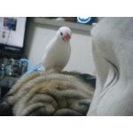 userPhoto