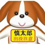 慎太郎【きゃべちゅ】