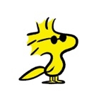 sora