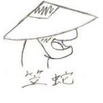 笠蛇