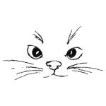 もももねこ