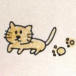 まめの。