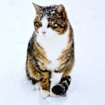 ユーザー画像