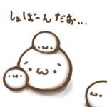 ┌（┌ ＾o＾）┐
