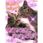 はげ