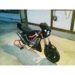 userPhoto