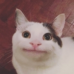 Oreo boy