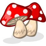 マッハきのこ