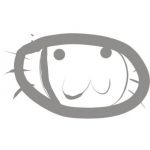 ぞうりむし