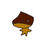 userPhoto