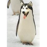 ぱねーっすWWW