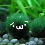 ユーザー画像
