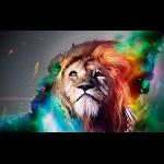 LION(アニソンHD画質)