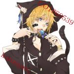 くろにゃん。