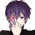 ヨシヅキ参謀