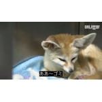 ココタ