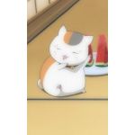 にゃんこ先生