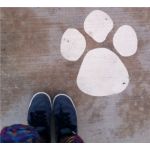 userPhoto